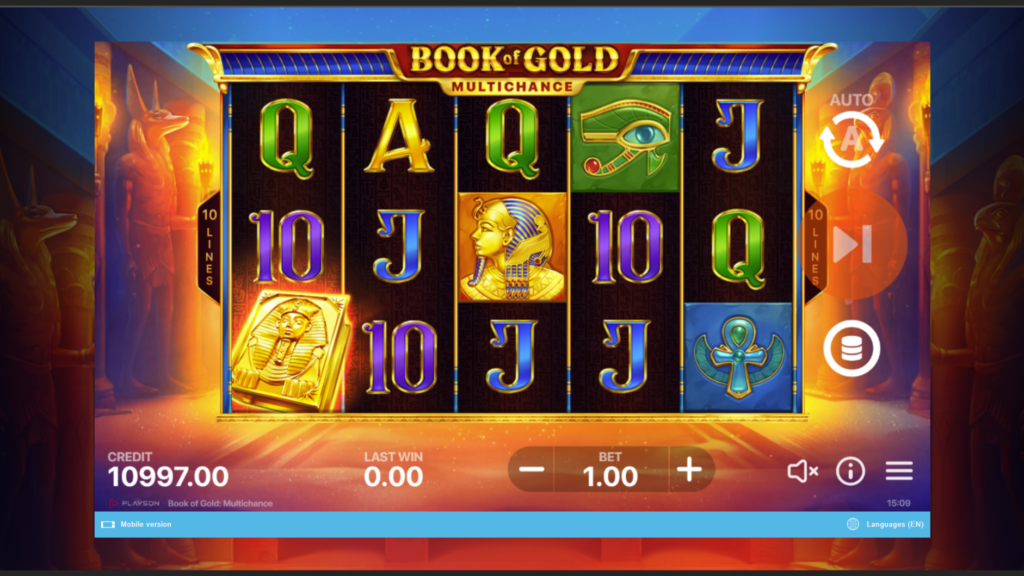 Playson Book of Gol Multichance casino slot game software