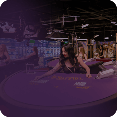 Experience the magic of live casinos