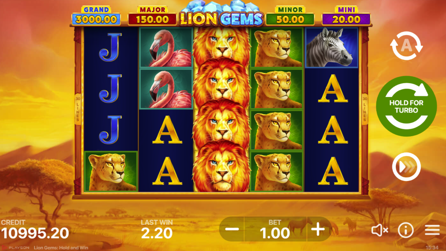 Lion Gems Hold and Win